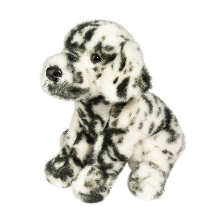 Mackay Dalmatian