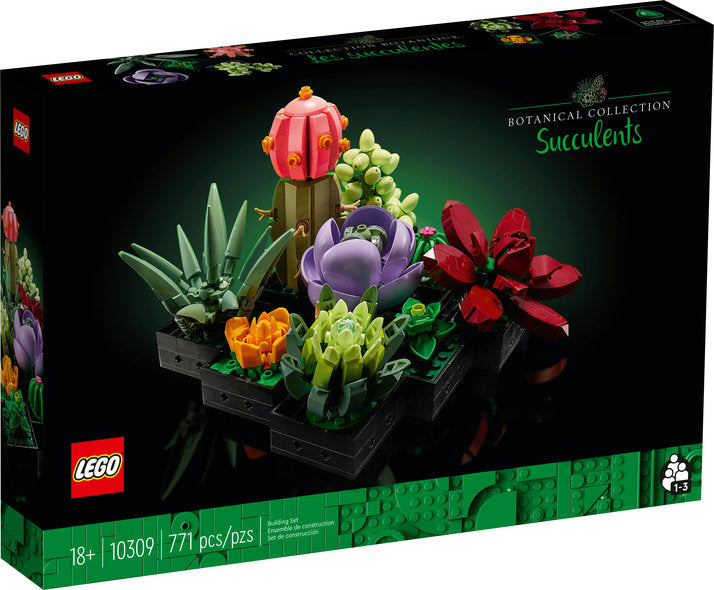 LEGO Botanical Collection Succulents set packaging with colorful succulent designs.