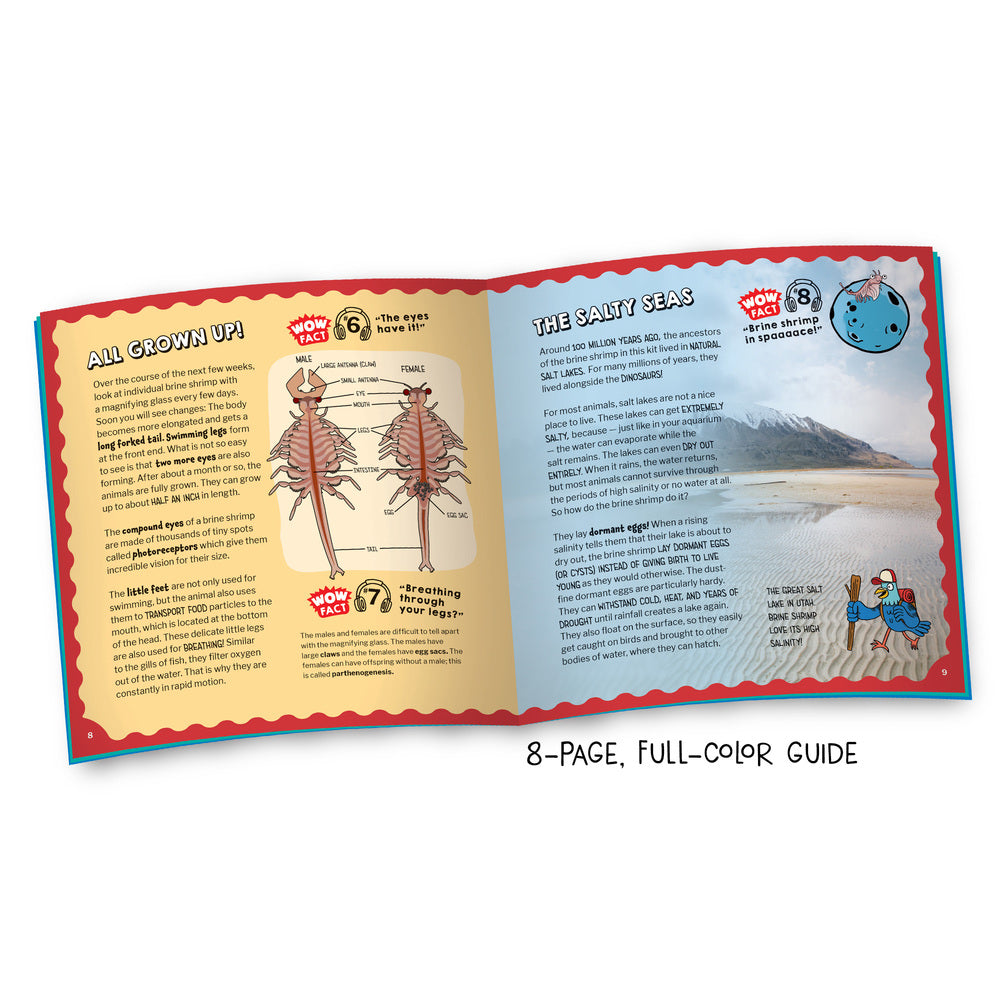 Wow in the World: Sea Creatures Aquarium