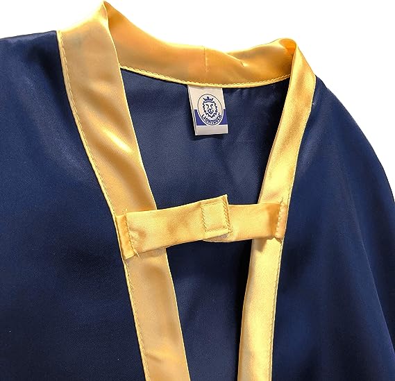 Blue Cape Noble Knight Liontouch