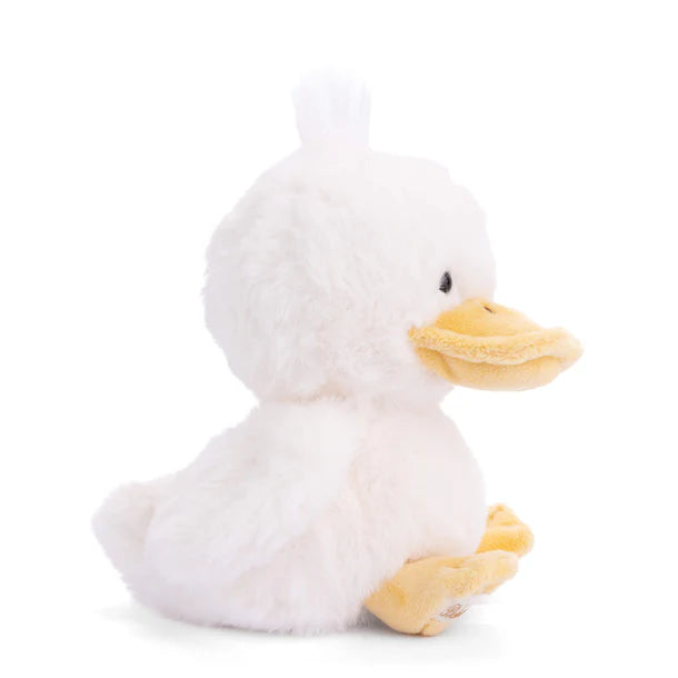 Baby Quack Duckling