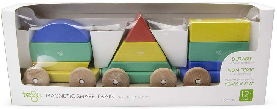 Tegu Magnetic Shape Train - Rainbow