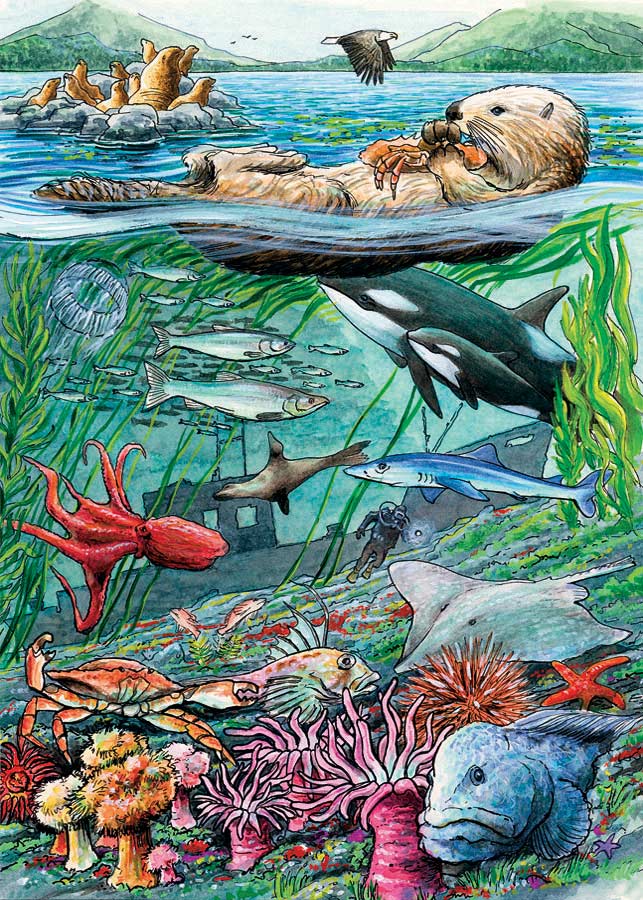 Life on the Pacific Ocean (Tray Puzzle)