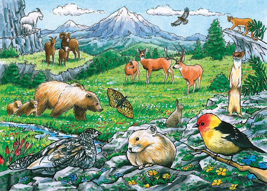 Rocky Mountain Wildlife (tray) | 35 Piece Tray