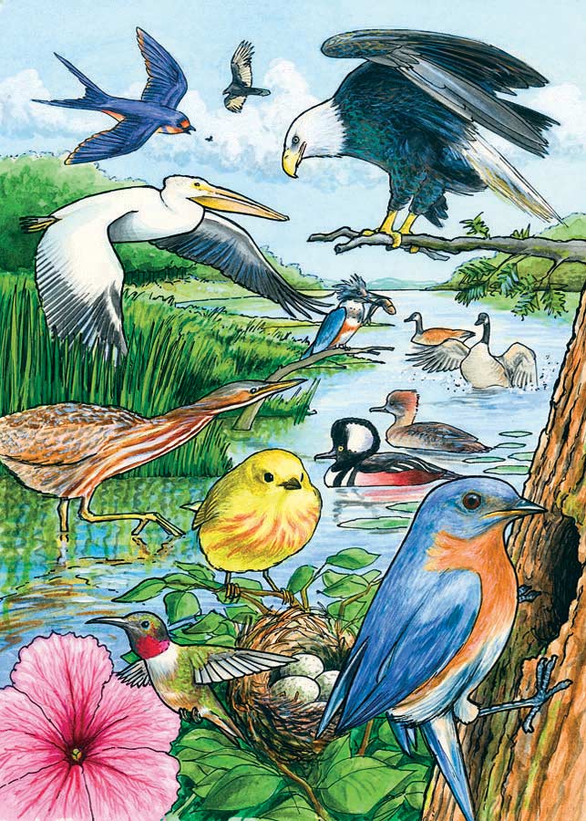 North American Birds (Tray Puzzle)