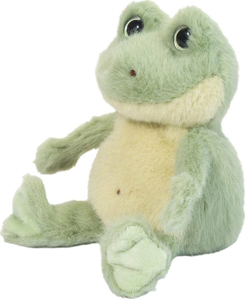 Flip Frog