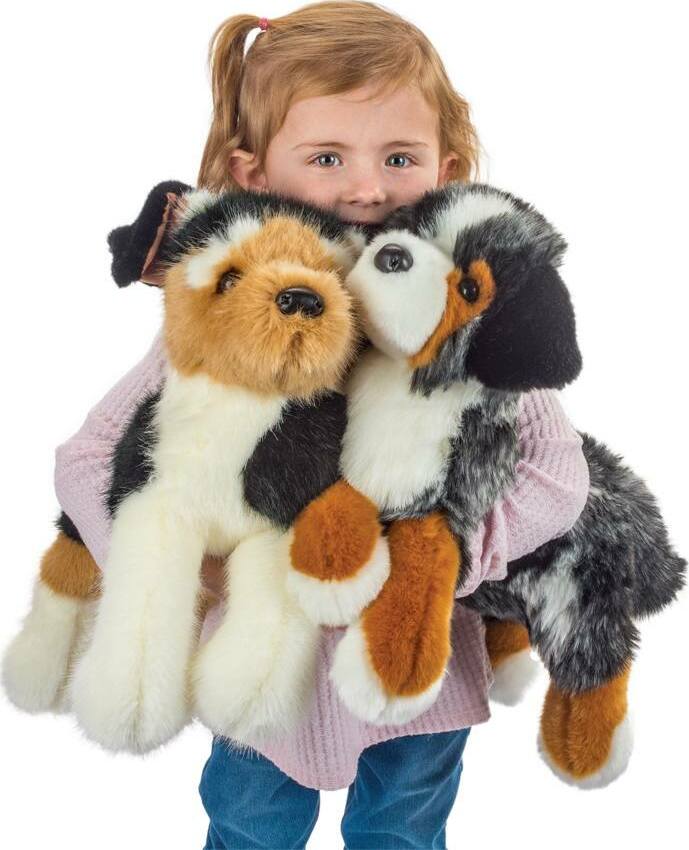 Maizie Dlux Australian Shepherd