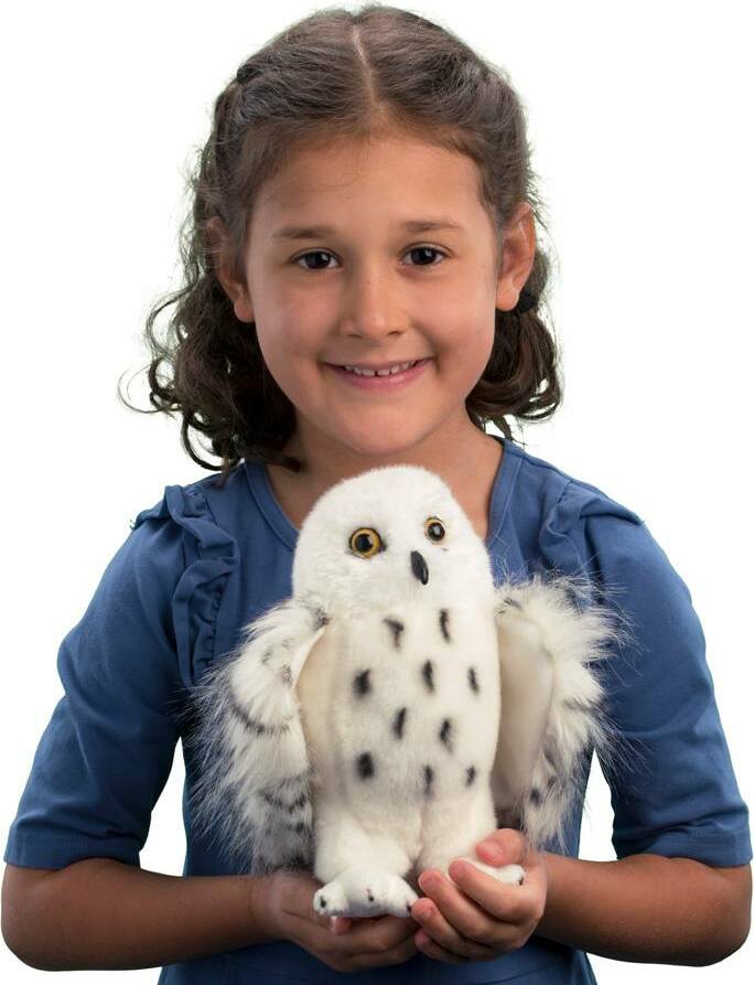 Wizard Snowy Owl