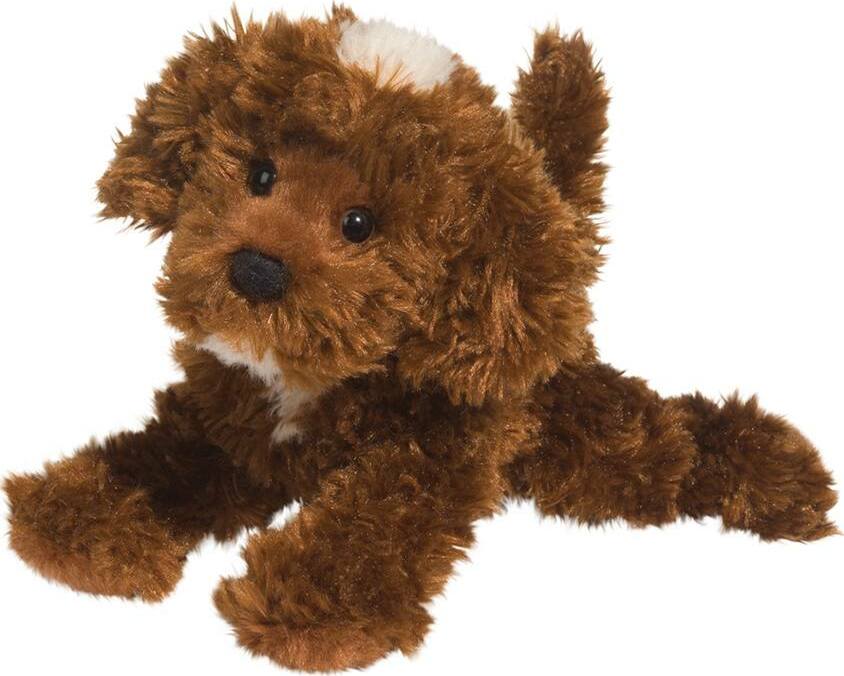 Bosco Chocolate Labradoodle