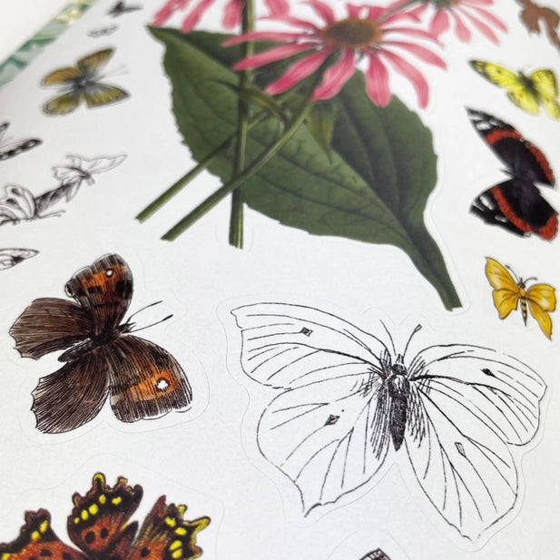 Collection of butterflies and flowers stickers