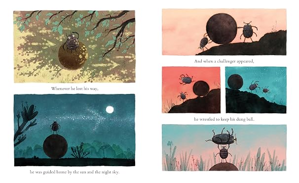 More Dung!: A Beetle Tale