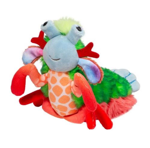 Punchie Peacock Mantis Shrimp