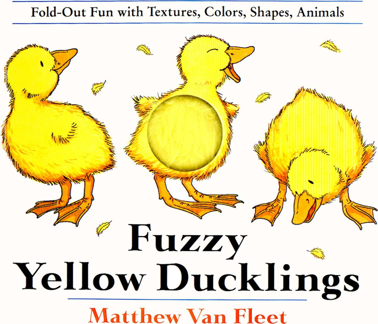 Fuzzy Yellow Ducklings