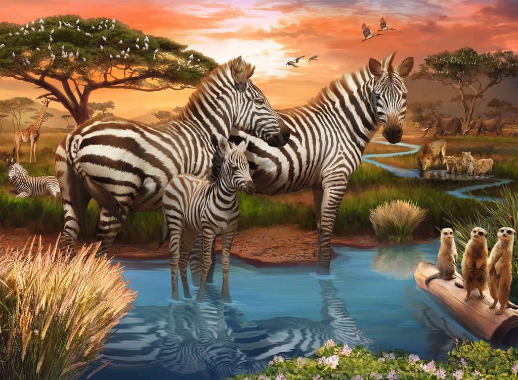 Jigsaw Puzzle Zebra - 500 Pieces Puzzle