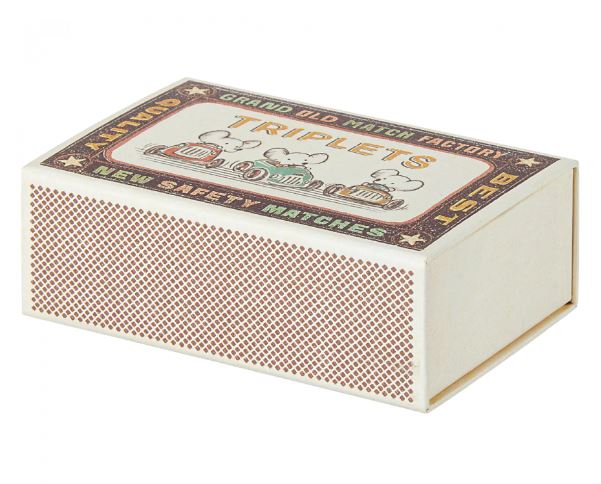 Triplet Baby Mice In Match Box