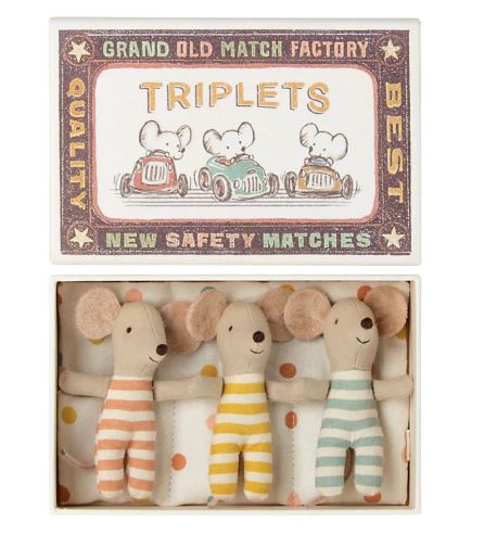 Triplet Baby Mice In Match Box