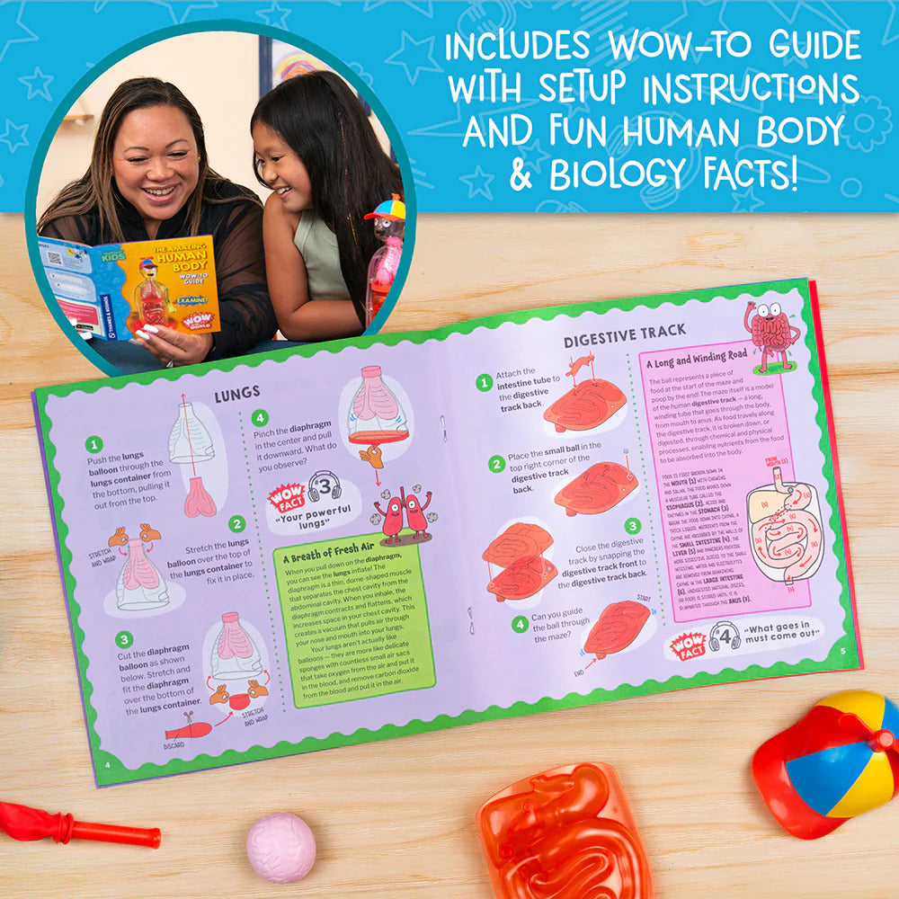 Wow in the World: The Amazing Human Body set with a guide on a wooden surface, featuring human body and biology facts.