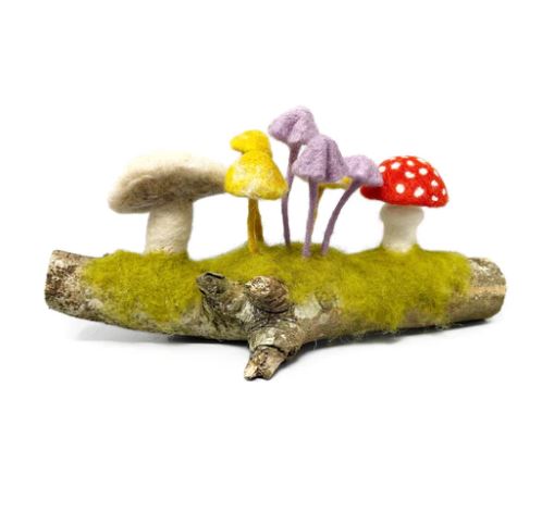 Woodland Toadstools Needle Felting Kit