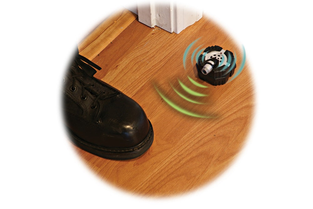 Micro Motion Alarm
