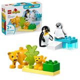 10442 LEGO® DUPLO® Wild Animal Families: Penguins & Lions