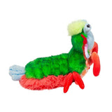 Punchie Peacock Mantis Shrimp