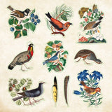 Set of vintage-style bird stickers on a beige background