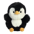 Rolly Pet™ - 5" Peewee Penguin