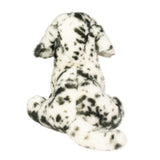 Mackay Dalmatian