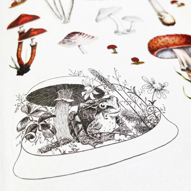 Stickers of a toad under a mushroom with other mushrooms in the background.