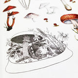 Stickers of a toad under a mushroom with other mushrooms in the background.