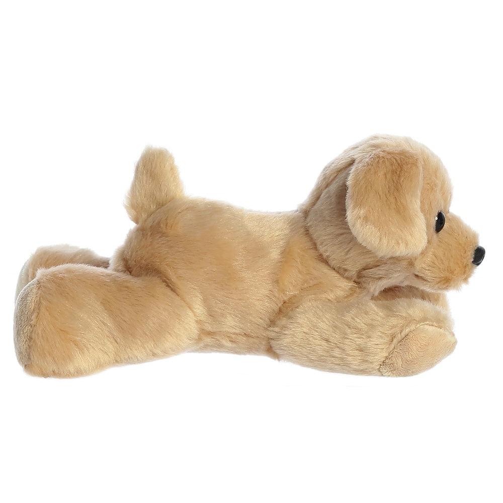 Plush toy dog on a white background