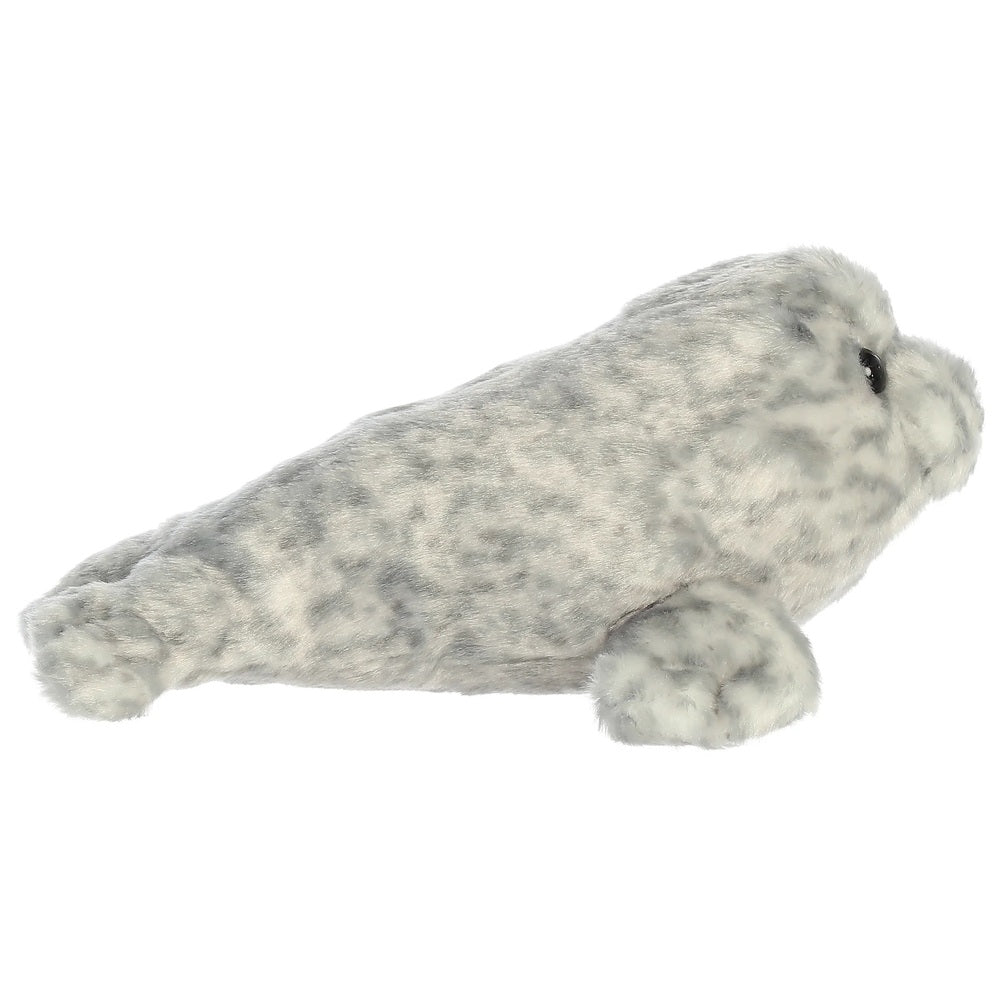 Plush toy seal on a white background