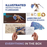 Windstorm Dragon model kit with packaging, laser-cut plywood boards, and illustrated instructions on a white background.