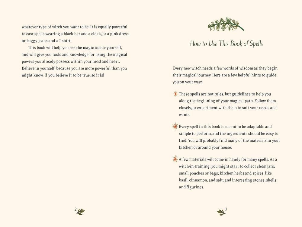 The Little Witch's Book of Spells