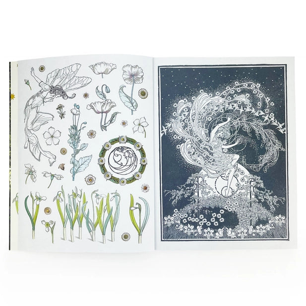 Open book with illustrations of fairies, flowers, and nature-themed designs on a white background.