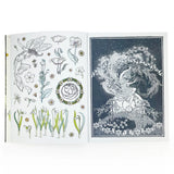 Open book with illustrations of fairies, flowers, and nature-themed designs on a white background.