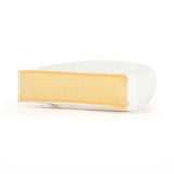 Rear view of a white and yellow Amuseables Brie a white background