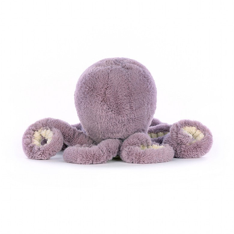 Maya Octopus Little