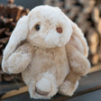 Plush Kanini - Taupe bunny toy with a blurred background of pinecones