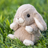 Plush Kanini - Taupe rabbit toy on grass
