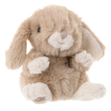Plush toy Kanini - Taupe rabbit with beige and white fur on a white background