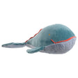 The Great Humphrey whale