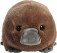 Plush toy platypus on a white background