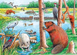 The Beaver Pond (Tray Puzzle)
