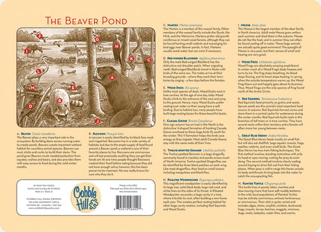 The Beaver Pond (Tray Puzzle)