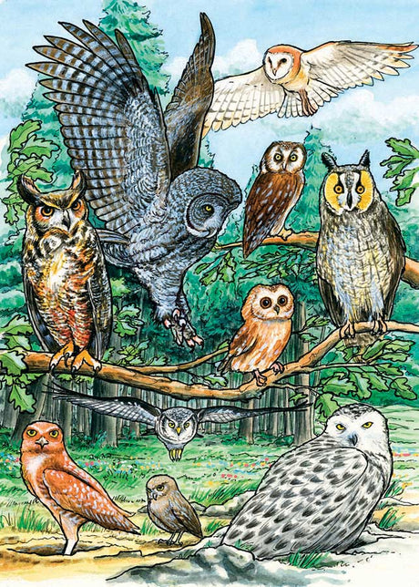 North American Owls (Tray Puzzle)