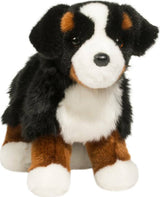 Stevie Bernese Mountain Dog