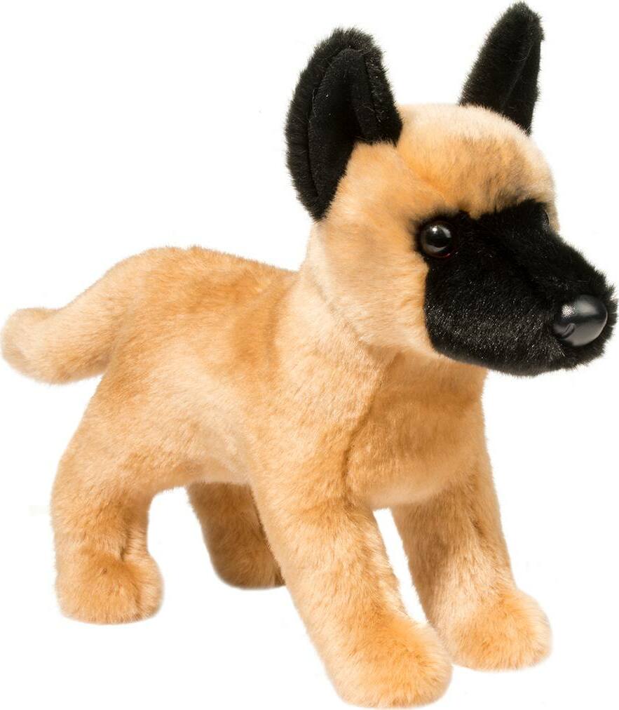 Klaus Belgian Malinois