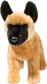 Klaus Belgian Malinois