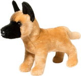 Klaus Belgian Malinois